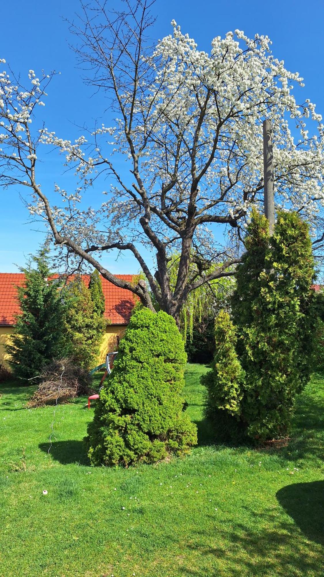 Prague Zbraslav Old Garden Leilighet Eksteriør bilde